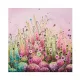 Delicate Splendour - Limited Edition - Mounted
