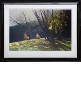 Depths Of Autumn - Black Framed