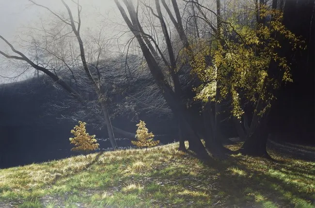Depths Of Autumn