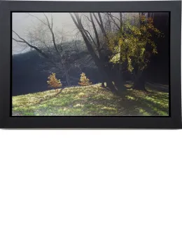 Depths Of Autumn - Canvas - Black Framed - Framed Box Canvas