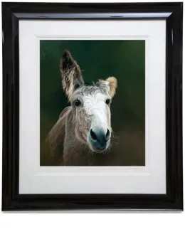 Des - Donkey - Black Framed