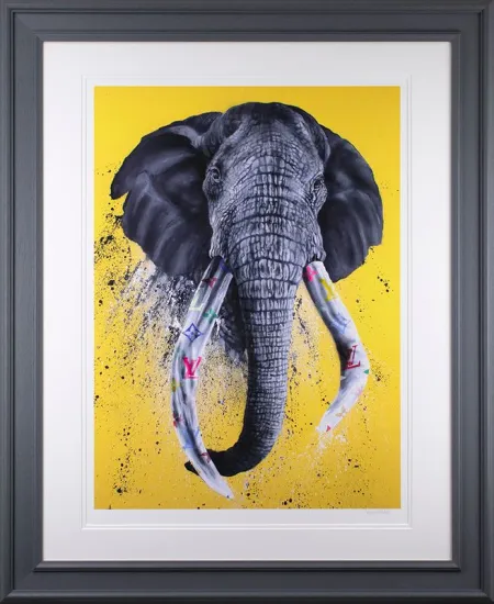 Designer Tusks Designer Tusks