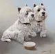 Dinner Time - Print