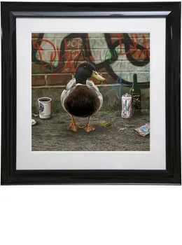 Discerning Charlie - Framed