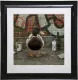 Discerning Charlie - Framed