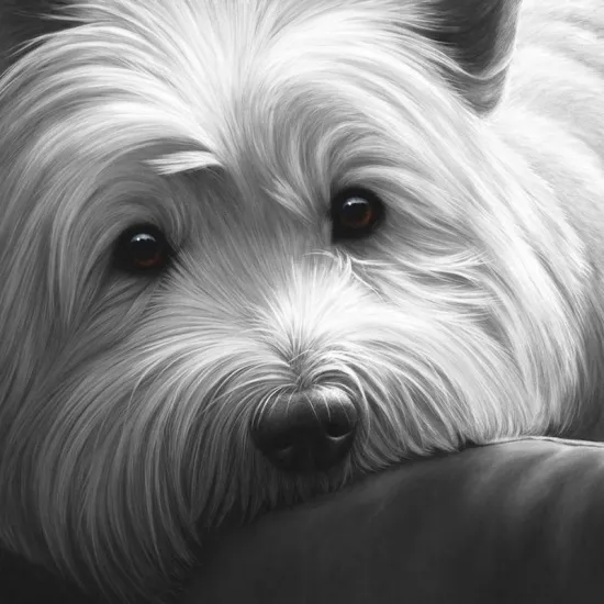 Dog Tired Series - West Highland Terrier Dog Tired Series - West Highland Terrier