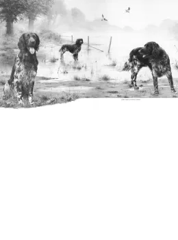 Early Morn At Witton Marsh - Print