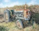 Edeys Farm Fordson - Print