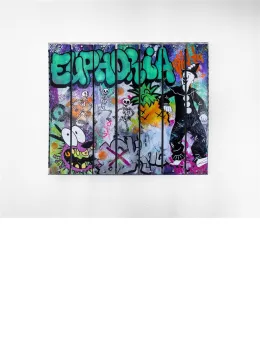 Euphoria Bandit - Original Panels - With Wall Fittings