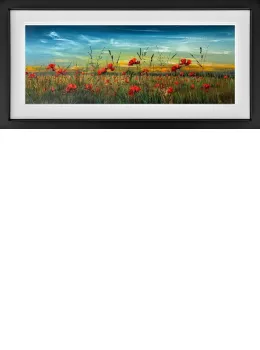 Evening Glow - Limited Edition - Black Framed