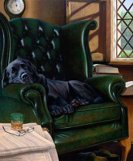 Executive Stress & Remarque Of Your Dog