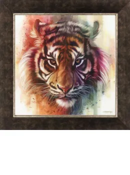 Eye Of The Tiger - On Canvas - Framed