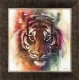 Eye Of The Tiger - On Canvas - Framed