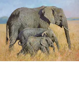 Family Outing - Board Only
