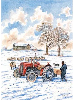 Feeding Sheep At Black Barn, Bures St. Mary - Print
