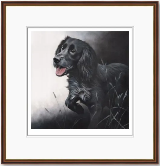Field Sports - Cocker Spaniel - Dark Wood Framed