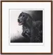 Field Sports - Cocker Spaniel - Dark Wood Framed