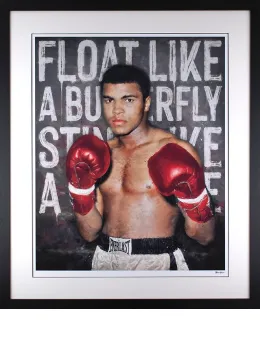 Float Like A Butterfly - Framed