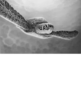 Flying Free - Print
