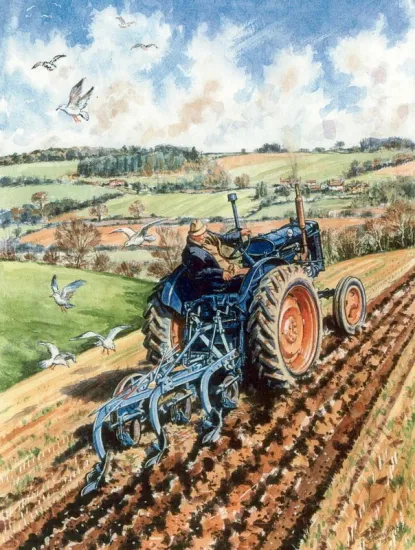 Fordson E27N Ploughing Fordson E27N Ploughing