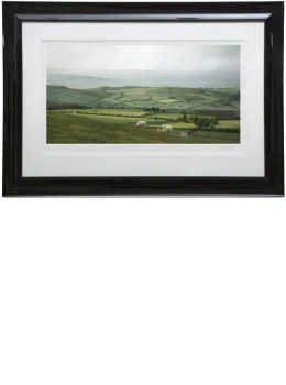 Forty Shades - Paper - Framed