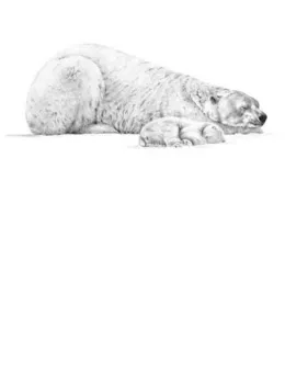 Forty Winks - Mounted