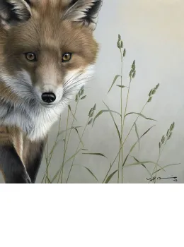 Fox - British Wildlife Series - Original - Framed
