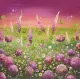 Fragile Passion - Limited Edition - Mounted