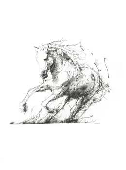 Freedom - Mounted