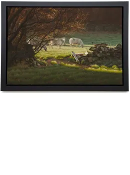 Further Afield - Framed Box Canvas