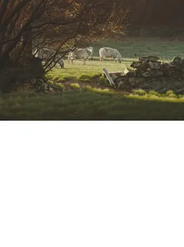Further Afield - Mounted