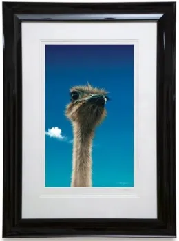 Germaine - Paper - Framed