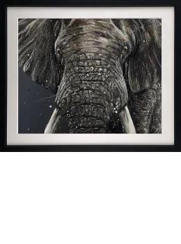 Gino - Artist Proof Black Framed