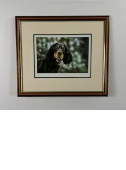 Gordon Grid - Brown Framed