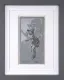 Grasshopper - Sketch - Grey Framed