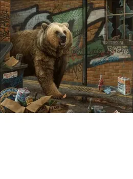 Grizzly - Box Canvas