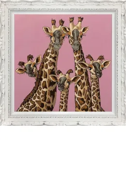 High Five - Rangwali Pink - Ornate White Framed