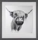 Highland cow - Grey Framed