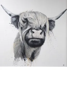 Highland Cow - Mounted