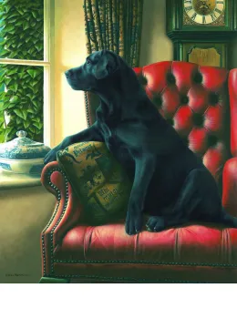 Homeward Bound & Remarque - Mounted