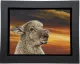 Hope - Framed Box Canvas