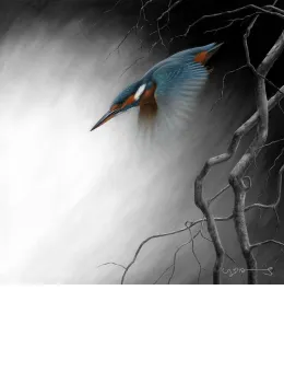 In Flight - Kingfisher - Original - Framed