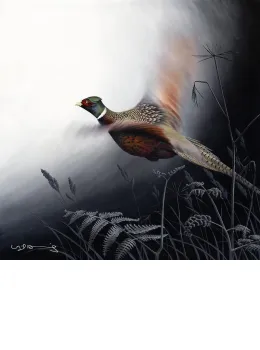 In Flight - Pheasant - Original - Framed