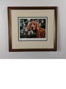 Irish Settler - Brown Framed