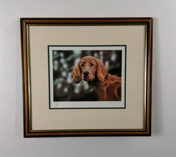 Irish Settler - Brown Framed