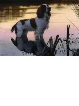 Jasper - Original - Framed