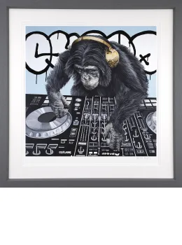 Jungle Nights & Swinging Beats - Grey Framed