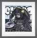 Jungle Nights & Swinging Beats - Grey Framed