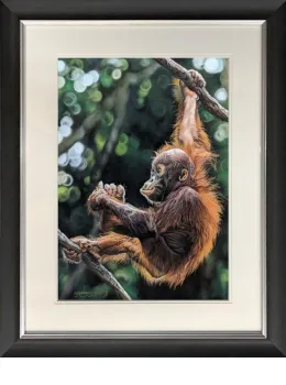 Jungle School - Black Framed