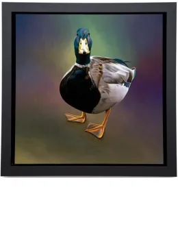 Just Charlie - Framed Box Canvas